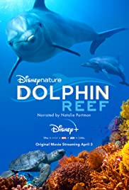 Dolphin Reef (2020) Disney+ อัศจรรย์ชีวิตของโลมา ซับไทยเต็มเรื่อง