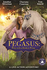 Pegasus: Pony with a Broken Wing (2019) ม้าเพกาซัสที่มีปีกหัก