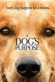 A Dog’s Purpose (2017) หมา เป้าหมาย และเด็กชายของผม