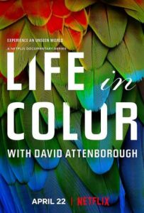 Life in Color with David Attenborough (2021) ชีวิตมีสีสันกับเดวิด แอทเทนเบอเรอห์