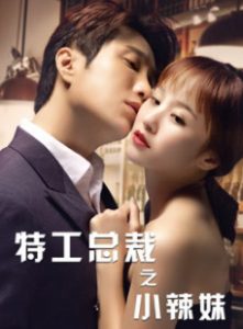 ดูหนังจีน The Special Agent and His Hot Girl (2020) ซับไทย เต็มเรื่อง
