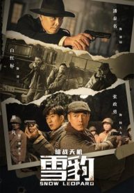 ดูหนังจีน Snow Leopard Secret War (2021) สงครามลับกองทัพสยบศึก ซับไทย