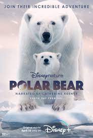 ดูสารคดี Polar Bear (2022) HD ดูหนังออนไลน์ฟรีเต็มเรื่องไม่มีโฆณาคั่น