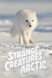 ดูสารคดีฟรี Strange Creatures of the Arctic (2022)