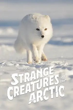 ดูสารคดีฟรี Strange Creatures of the Arctic 2022