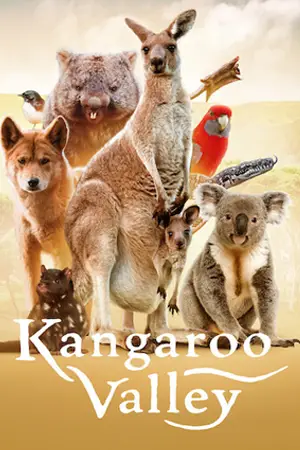 ดูสารคดี Kangaroo Valley 2022 หุบเขาแห่งจิงโจ้ | Netflix