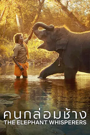 ดูสารคดี The Elephant Whisperers 2022 คนกล่อมช้าง | Netflix