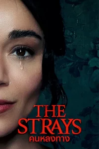 ดูหนัง The Strays (2023) คนหลงทาง | Netflix เต็มเรื่อง
