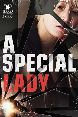 ดูหนังเกาหลี A Special Lady 2017 เหนือกว่าสตรี เต็มเรื่อง