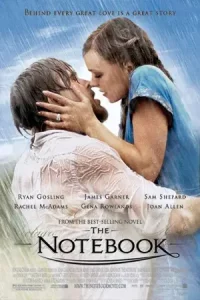 ดูหนังออนไลน์ The Notebook (2004) รักเธอหมดใจ ขีดไว้ให้โลกจารึก HD เต็มเรื่อง
