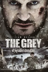 ดูหนังฝรั่ง The Grey (2011) ฝ่าฝูงเขี้ยวสยองโลก HD เต็มเรื่อง