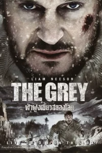 The Grey (2011) ฝ่าฝูงเขี้ยวสยองโลก