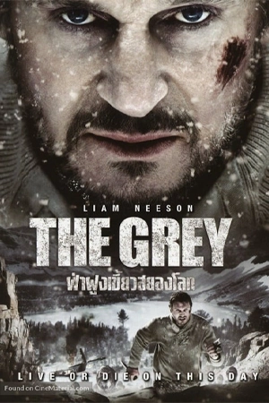ดูหนังฝรั่ง The Grey 2011 ฝ่าฝูงเขี้ยวสยองโลก HD เต็มเรื่อง