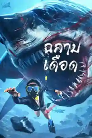 Shark Evil 2023 ฉลามเดือด เว็บดูหนังออนไลน์ฟรี 4K