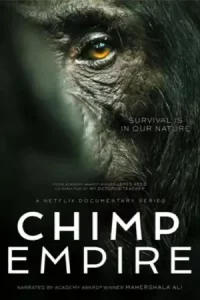 ดูซีรี่ย์ Chimp Empire (2023) อาณาจักรชิมแปนซี EP.1-4 (จบ)
