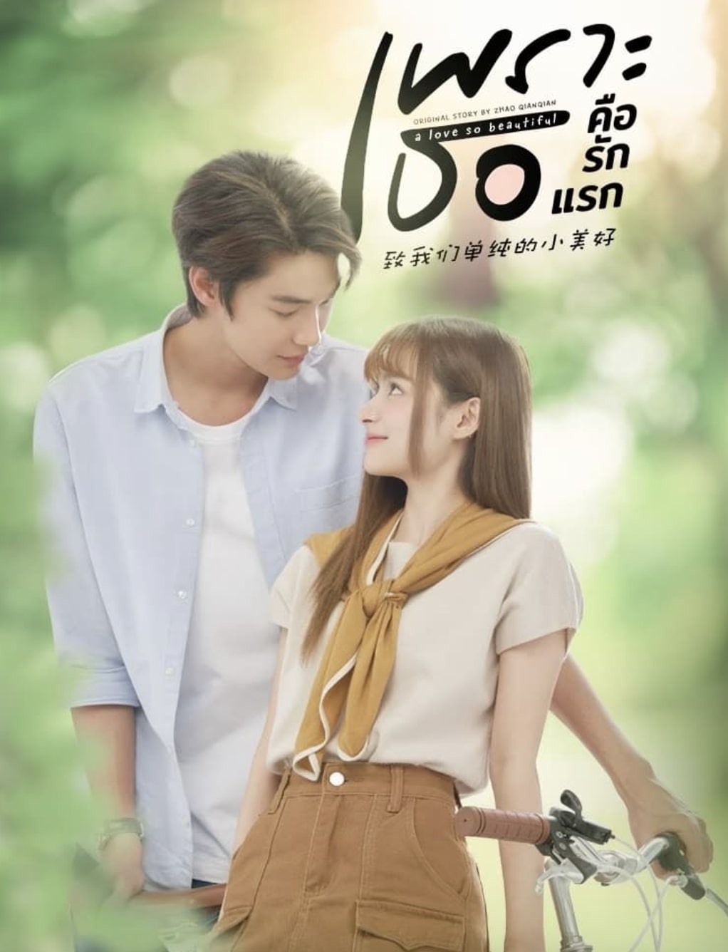 ซีรี่ย์ A Love So Beautiful เพราะเธอคือรักแรก