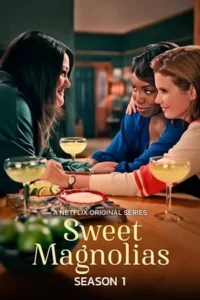 Sweet Magnolias (2020) สวีท แมกโนเลีย หวาน กร้าว แกร่ง season 1