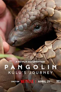 Pangolin: Kulu’s Journey (2025) การเดินทางของคูลู
