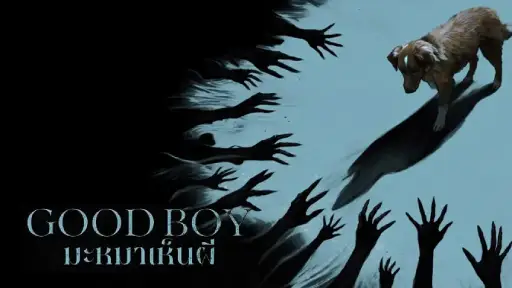 Synopsis of Good Boy (2025)